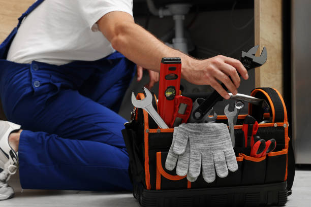 Best Local Plumber Services  in Donna, TX